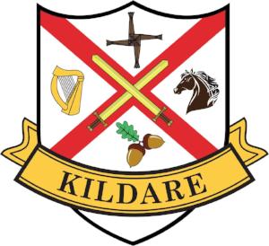 County Sticker CC14 Kildare