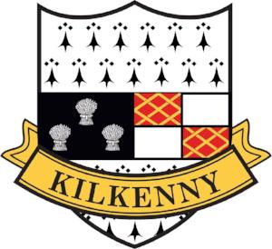 county Sticker CC15 Kilkenny