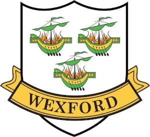 County Stickers CC31 Wexford