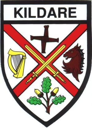 Embroidered Patch County Kildare