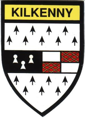 Embroidered Patch County Kilkenny